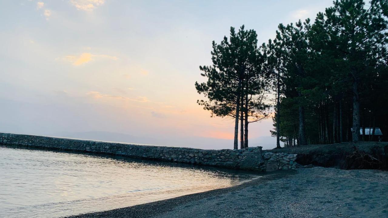 Zhayr Resort & Dive Drakhtik Exteriér fotografie